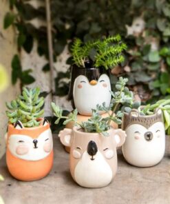 Maceta Ceramica Animalitos