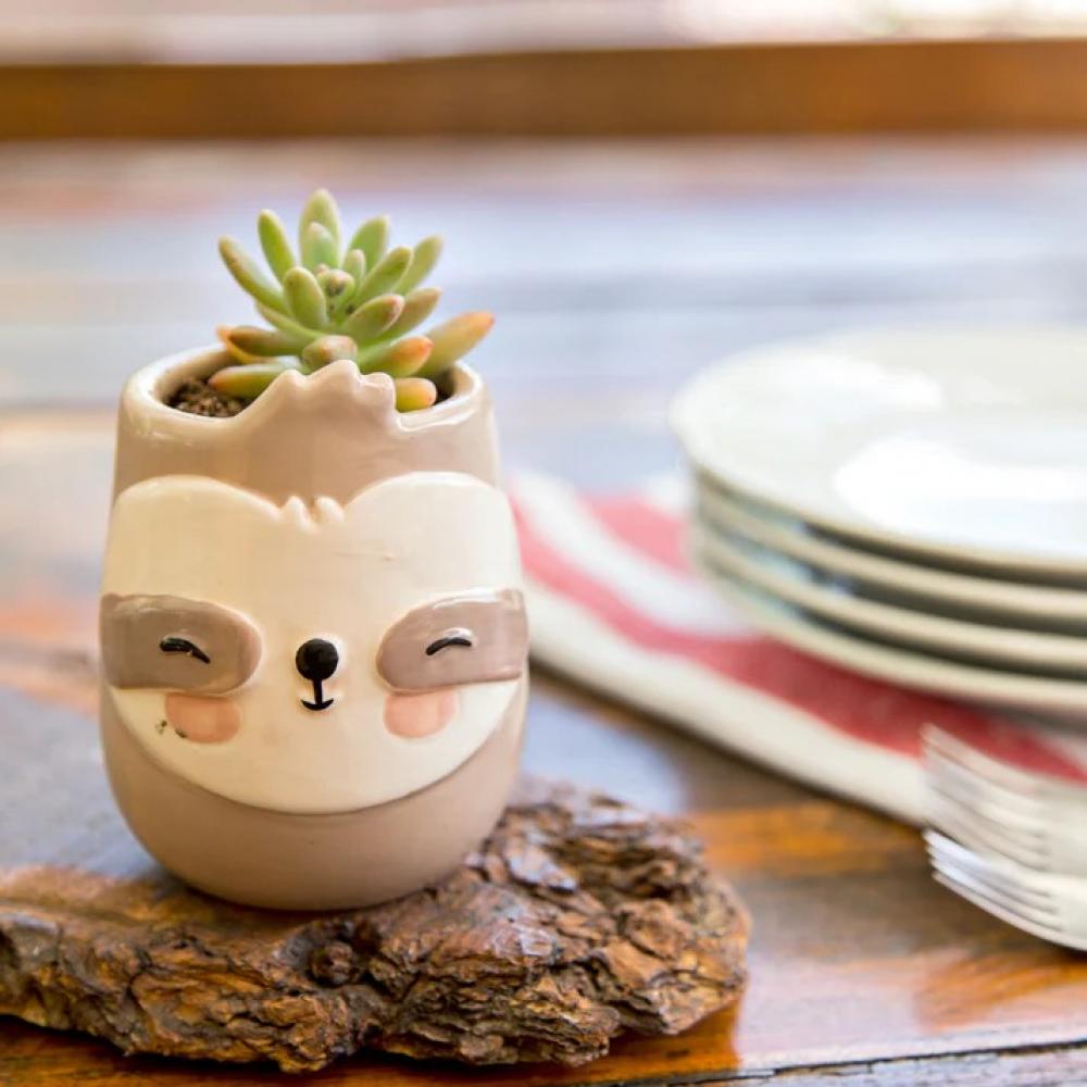 Maceta Ceramica Animalitos 2 Maceta Ceramica Animalitos - Imagen 2