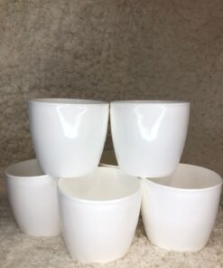 Pack x 2 Mini Macetas