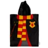 Poncho Piñata - Harry Potter 2 159880 1600 auto