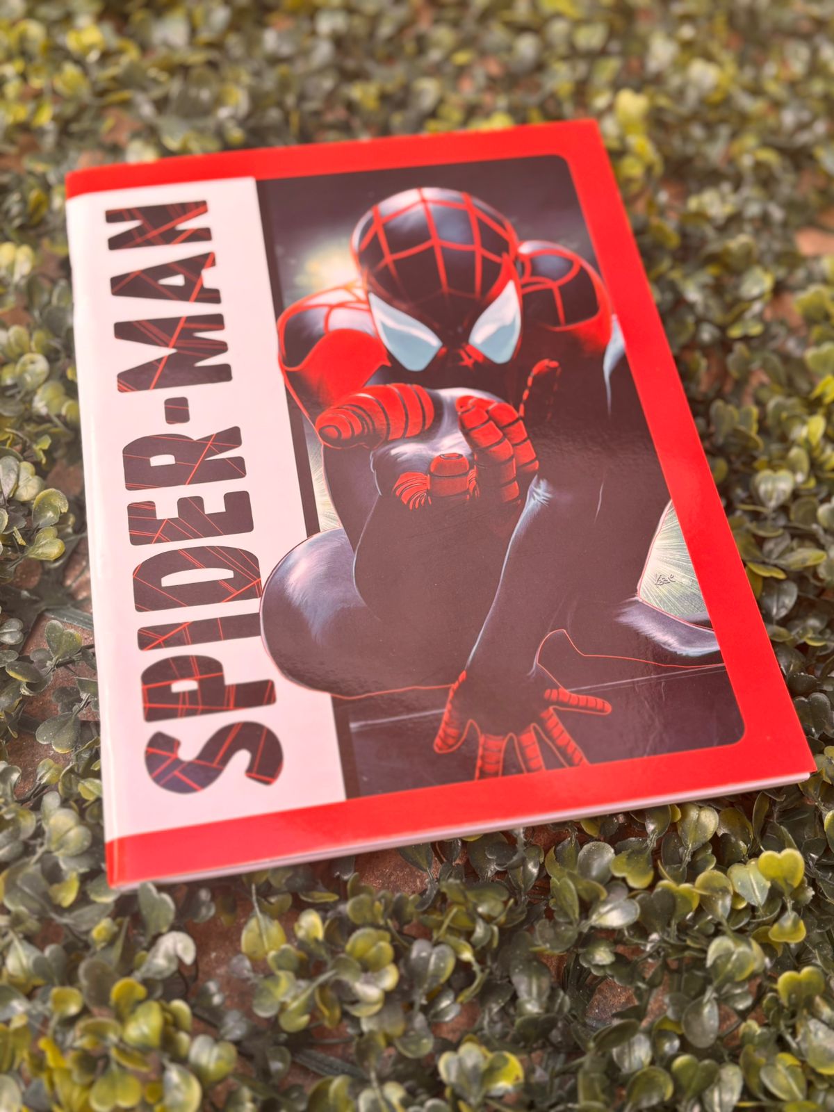 Cuaderno Tapa Flexible Spiderman - Mooving 5 Cuaderno Tapa Flexible Spiderman - Mooving - Imagen 5