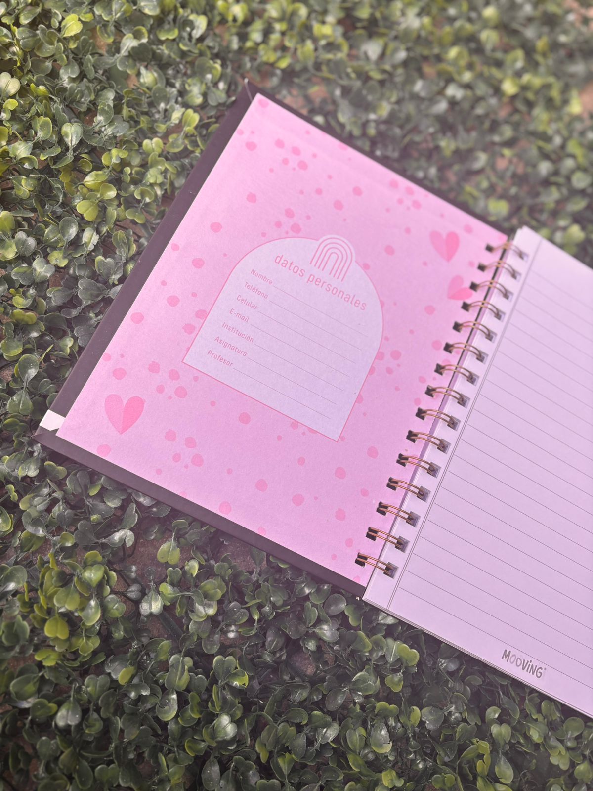 Cuaderno Espiral 16 x 21 - CHIC 3 Cuaderno Espiral 16 x 21 - CHIC - Imagen 3