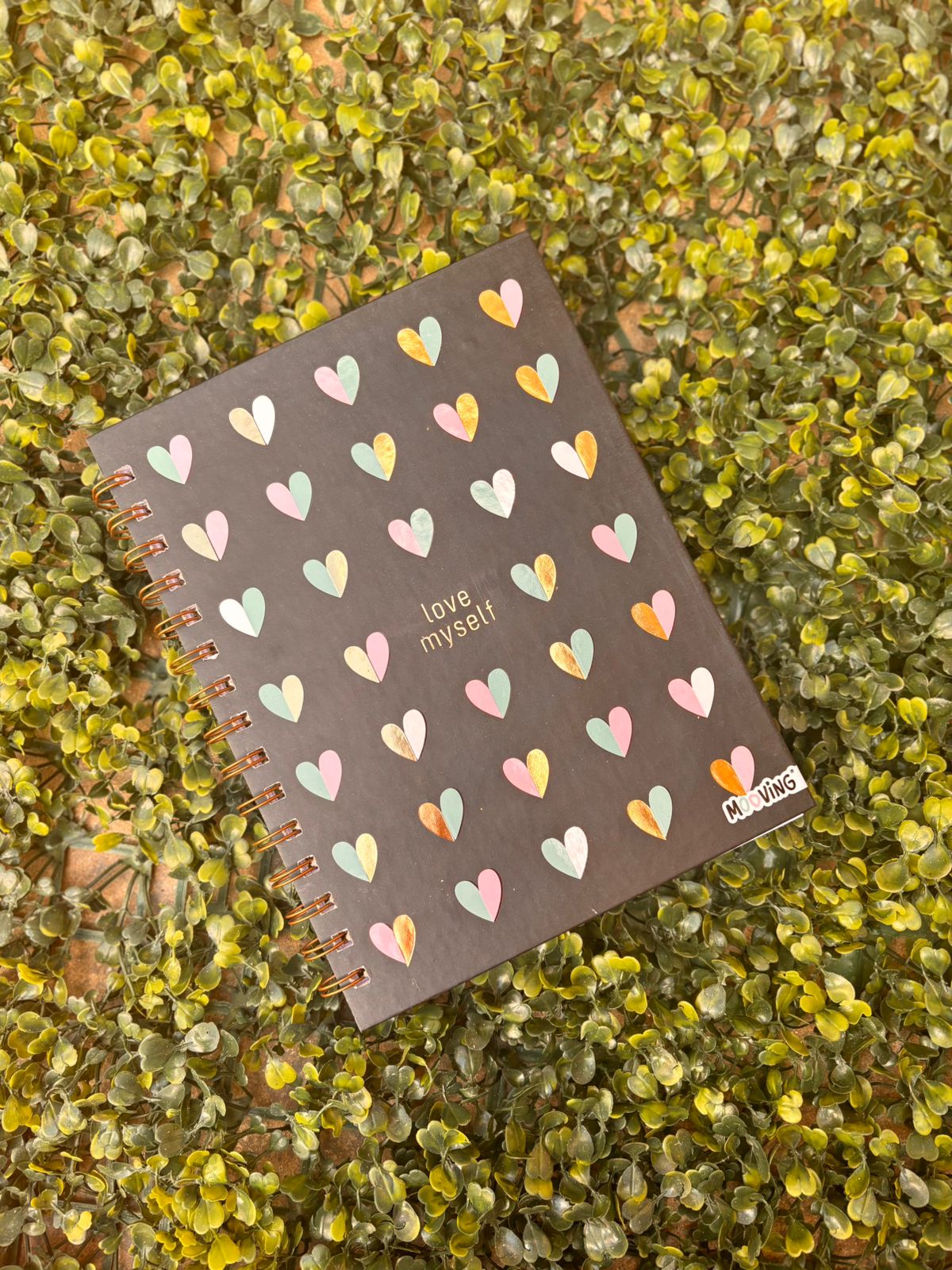 Cuaderno Espiral 16 x 21 - CHIC 1 Cuaderno Espiral 16 x 21 - CHIC