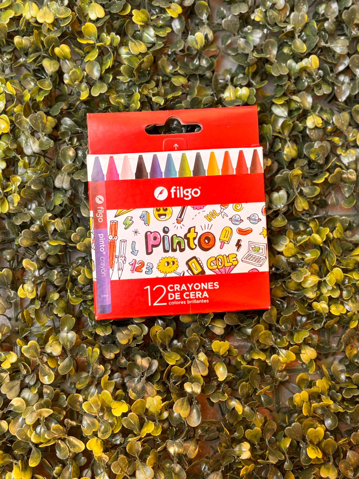 Crayon Cera x12 - FILGO 1 Crayon Cera x12 - FILGO