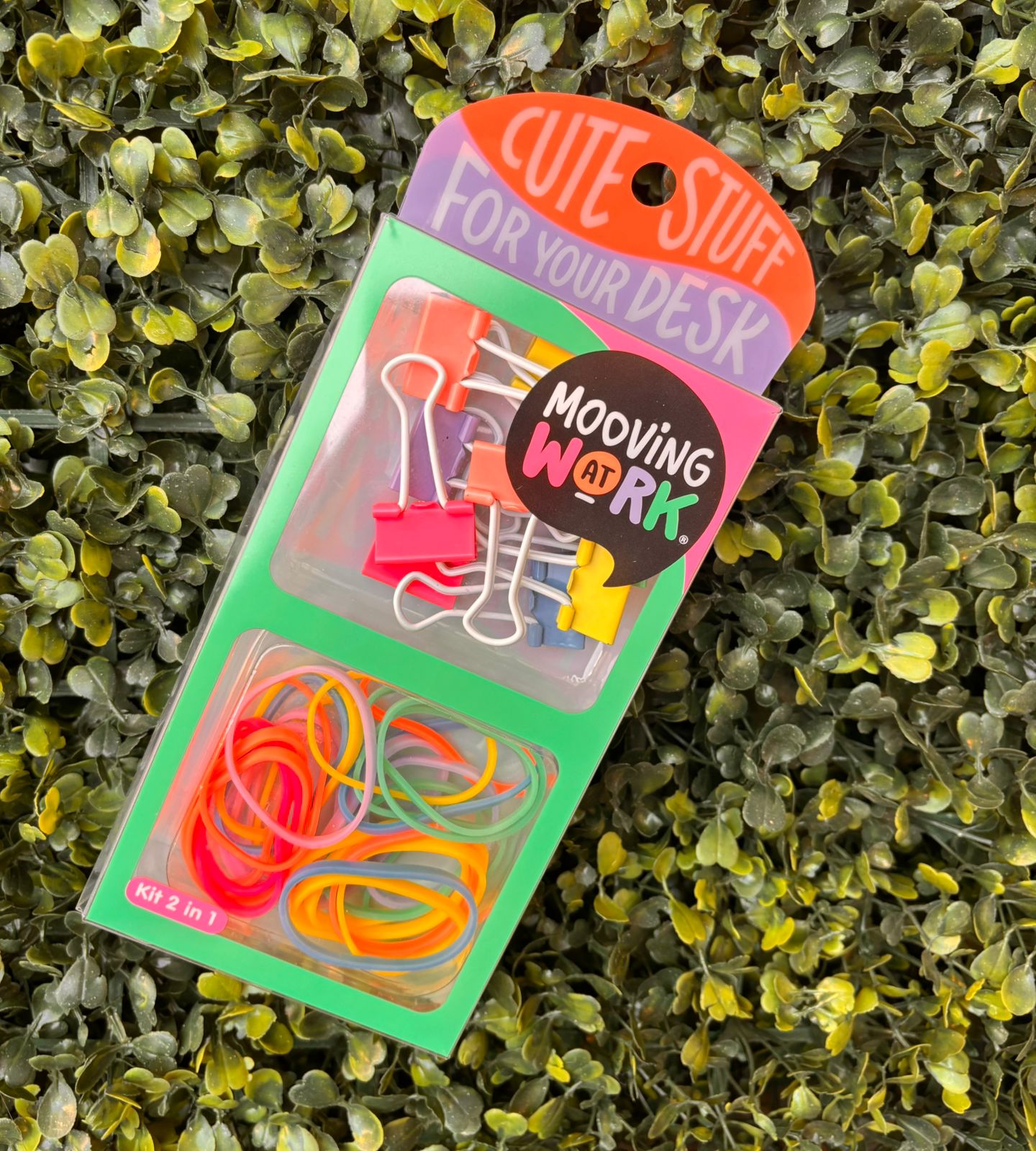 Kit 2 en 1 Binder + Bandas - Mooving 1 Kit 2 en 1 Binder + Bandas - Mooving