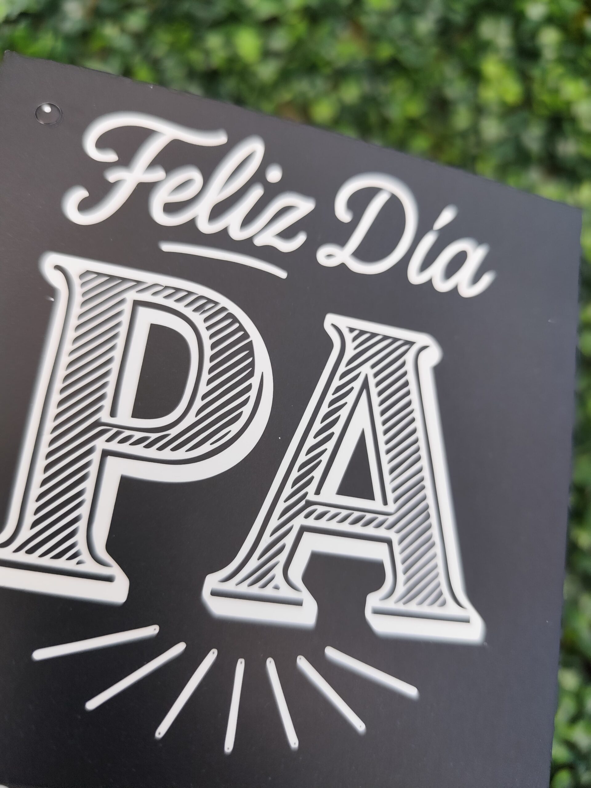 Mega Tag "Feliz dia PA" 1 Mega Tag "Feliz dia PA"