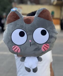 Almohadon Gato con Manta